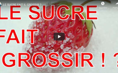 LE SUCRE FAIT IL GROSSIR ?