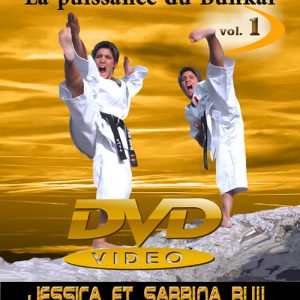 couverture DVD La voie du Kata, vol1