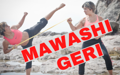 MAWASHI GERI : apprendre et perfectionner ce coup de pied circulaire